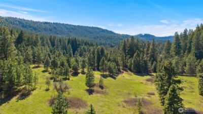 0 XXX Thornton Creek Lane , Cle Elum, WA 98922 - Photo 2