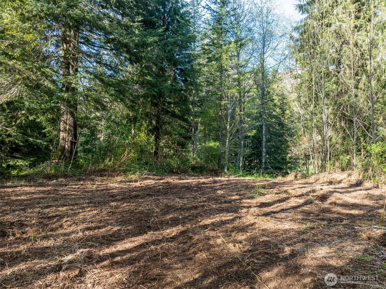 0 Davis Lake Road , Morton, WA 98356