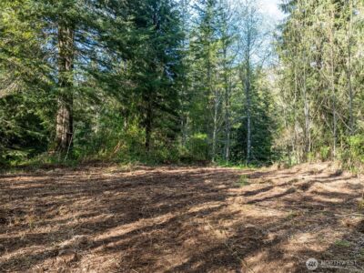0 Davis Lake Road , Morton, WA 98356 - Photo 1