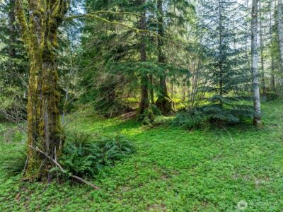 0 Davis Lake Road , Morton, WA 98356 - Photo 11