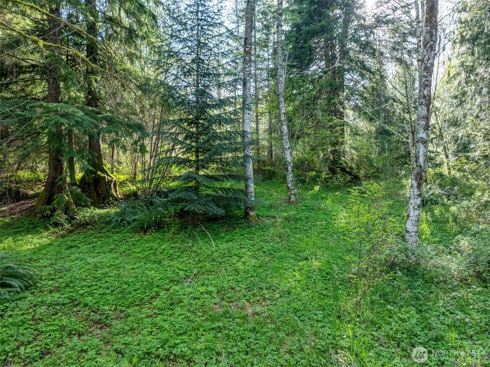 0 Davis Lake Road , Morton, WA 98356