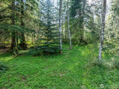 0 Davis Lake Road , Morton, WA 98356 - Photo 12