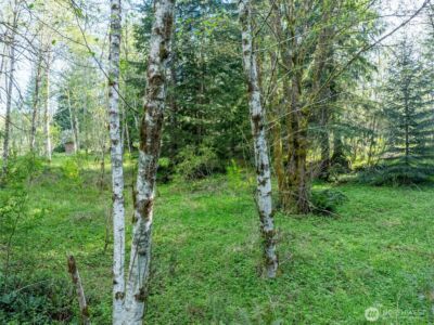 0 Davis Lake Road , Morton, WA 98356 - Photo 13