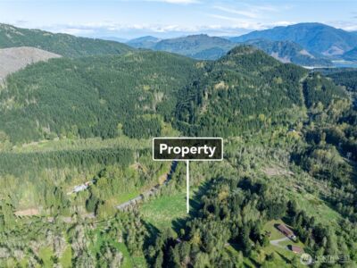0 Davis Lake Road , Morton, WA 98356 - Photo 18