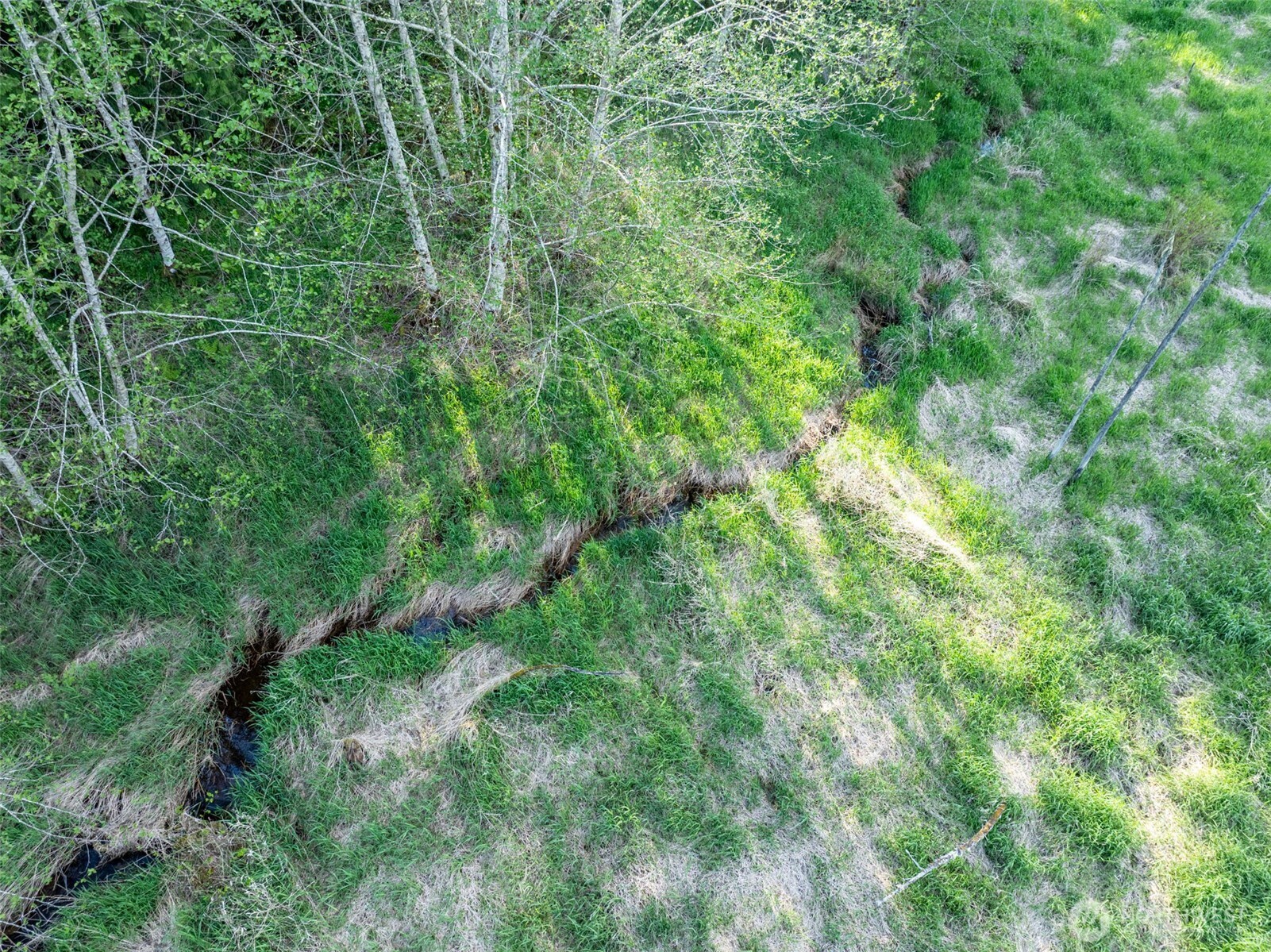 0 Davis Lake Road , Morton, WA 98356