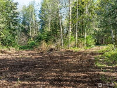 0 Davis Lake Road , Morton, WA 98356 - Photo 2
