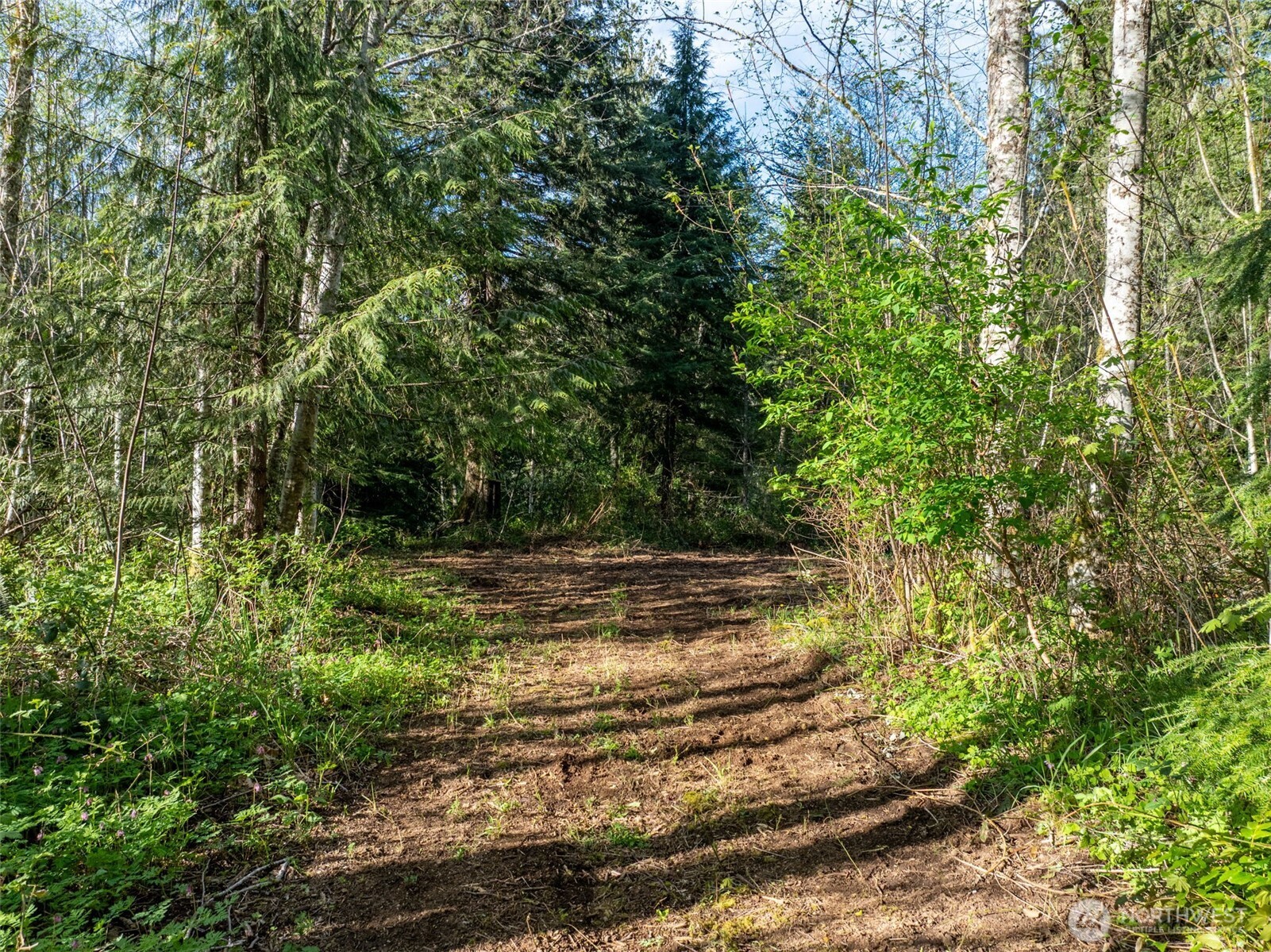 0 Davis Lake Road , Morton, WA 98356