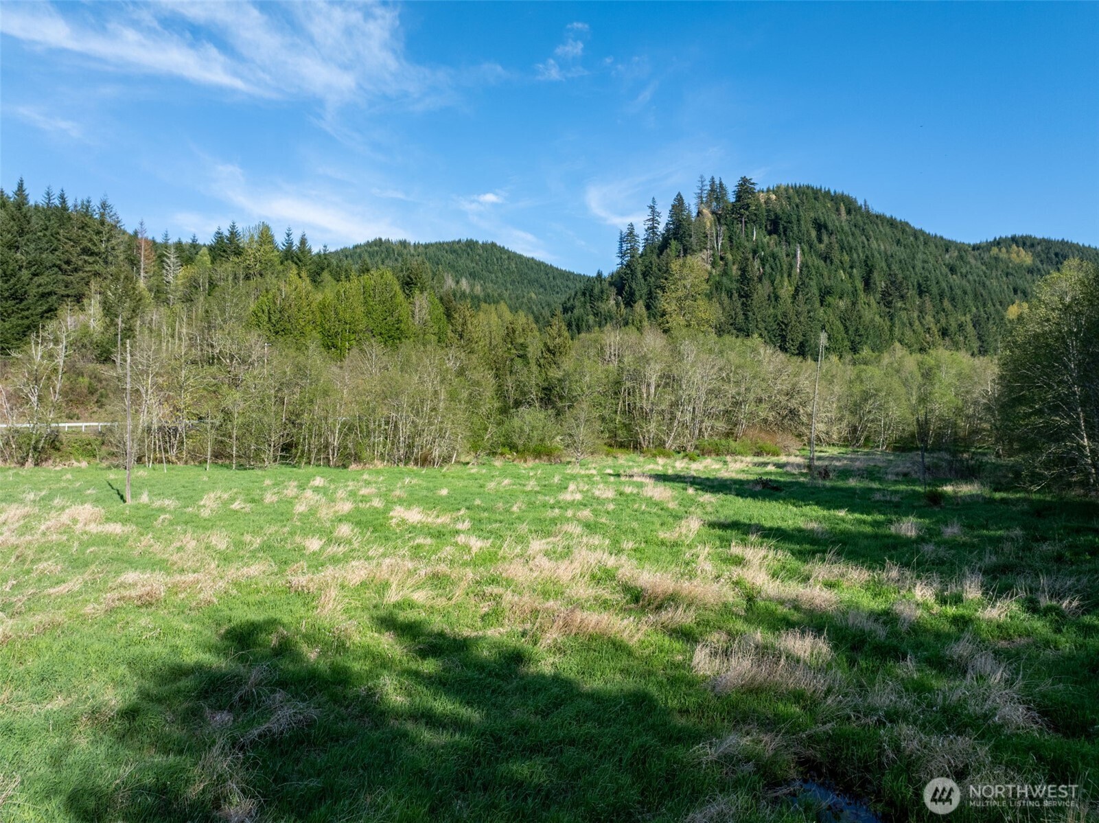 0 Davis Lake Road , Morton, WA 98356
