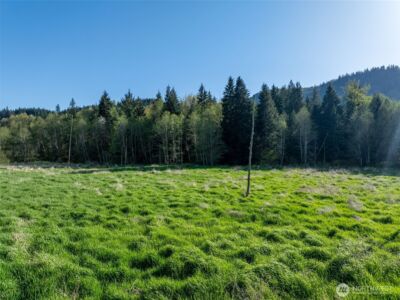 0 Davis Lake Road , Morton, WA 98356 - Photo 22
