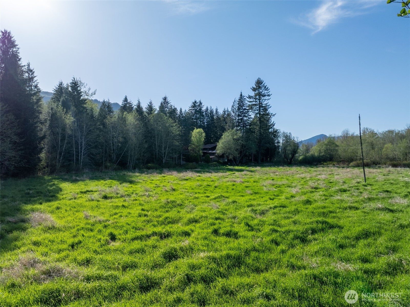 0 Davis Lake Road , Morton, WA 98356