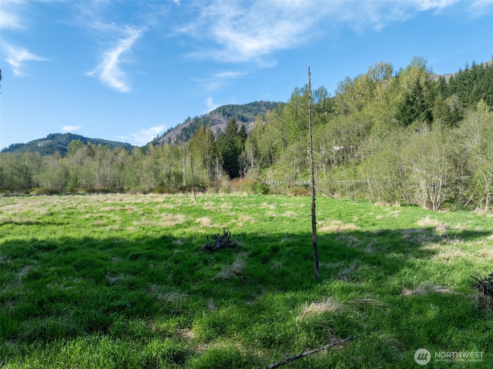 0 Davis Lake Road , Morton, WA 98356