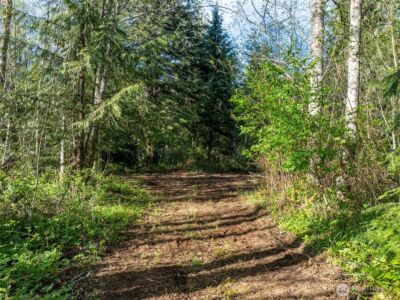 0 Davis Lake Road , Morton, WA 98356 - Photo 3