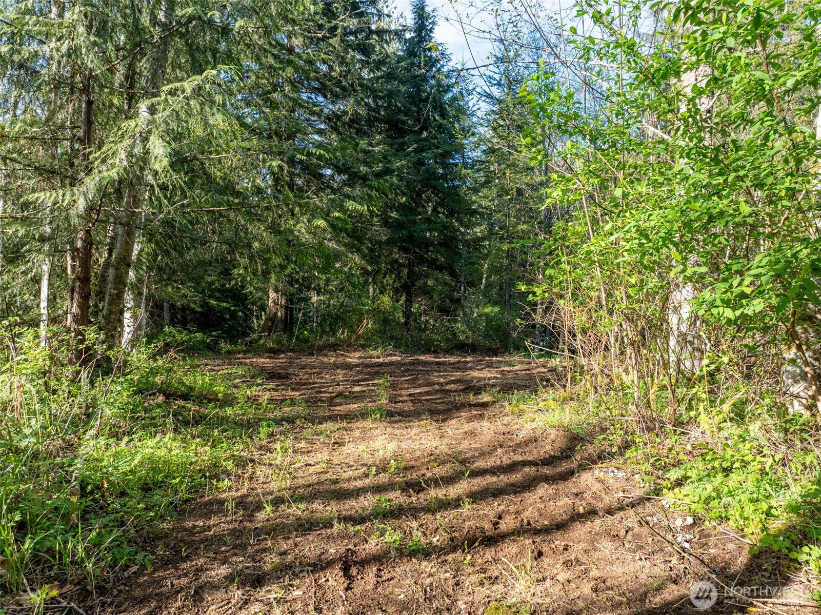 0 Davis Lake Road , Morton, WA 98356