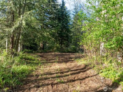 0 Davis Lake Road , Morton, WA 98356 - Photo 4