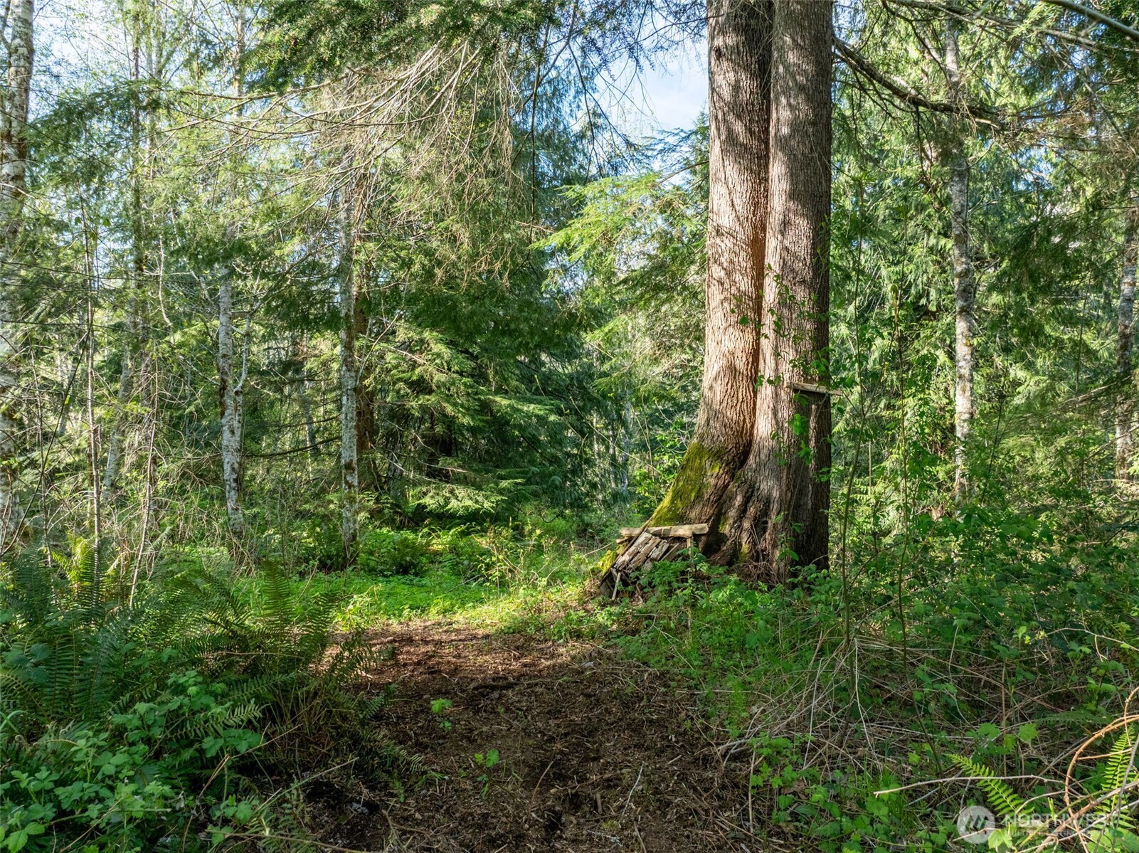 0 Davis Lake Road , Morton, WA 98356