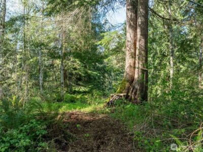 0 Davis Lake Road , Morton, WA 98356 - Photo 5