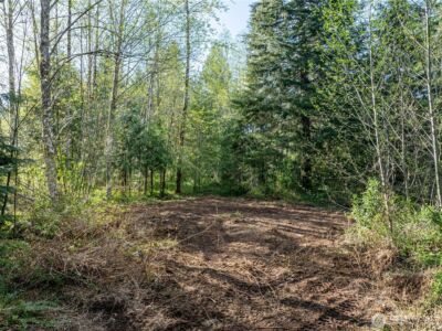 0 Davis Lake Road , Morton, WA 98356 - Photo 6