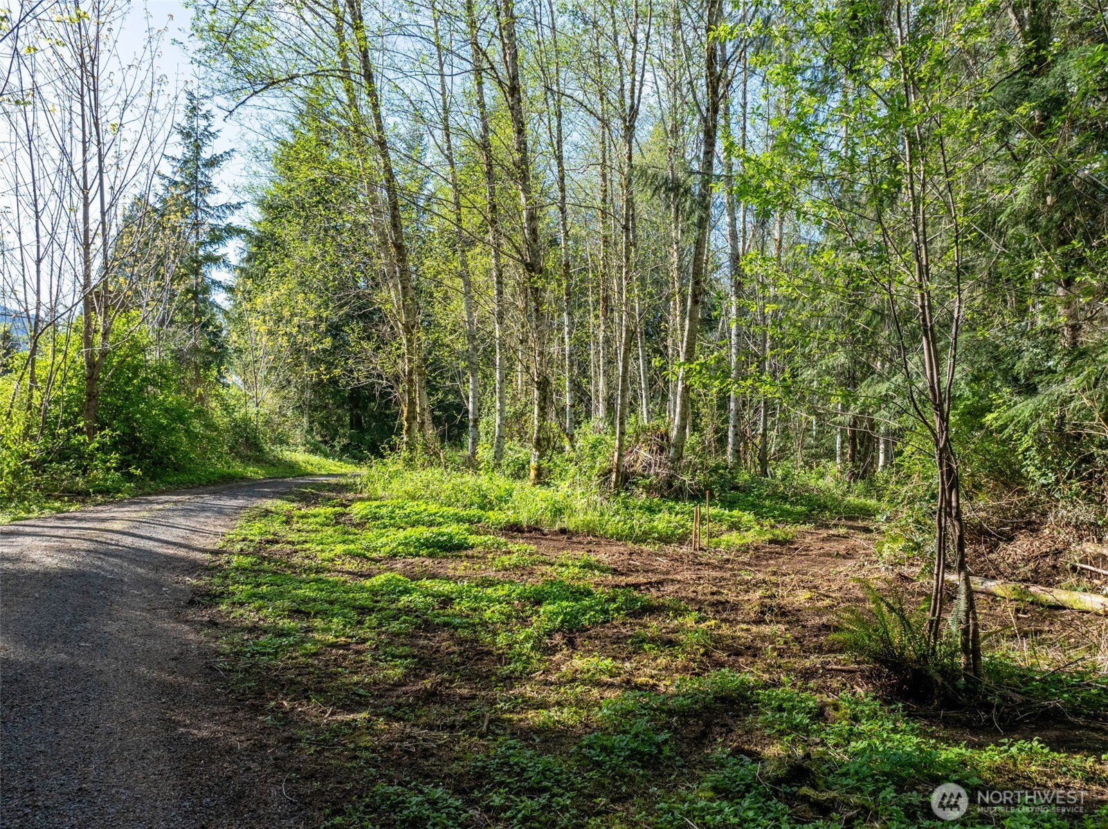 0 Davis Lake Road , Morton, WA 98356