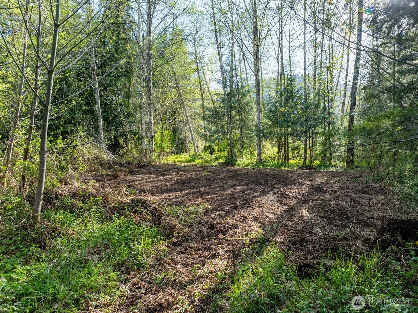 0 Davis Lake Road , Morton, WA 98356