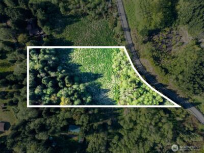 0 Davis Lake Road , Morton, WA 98356 - Photo 9