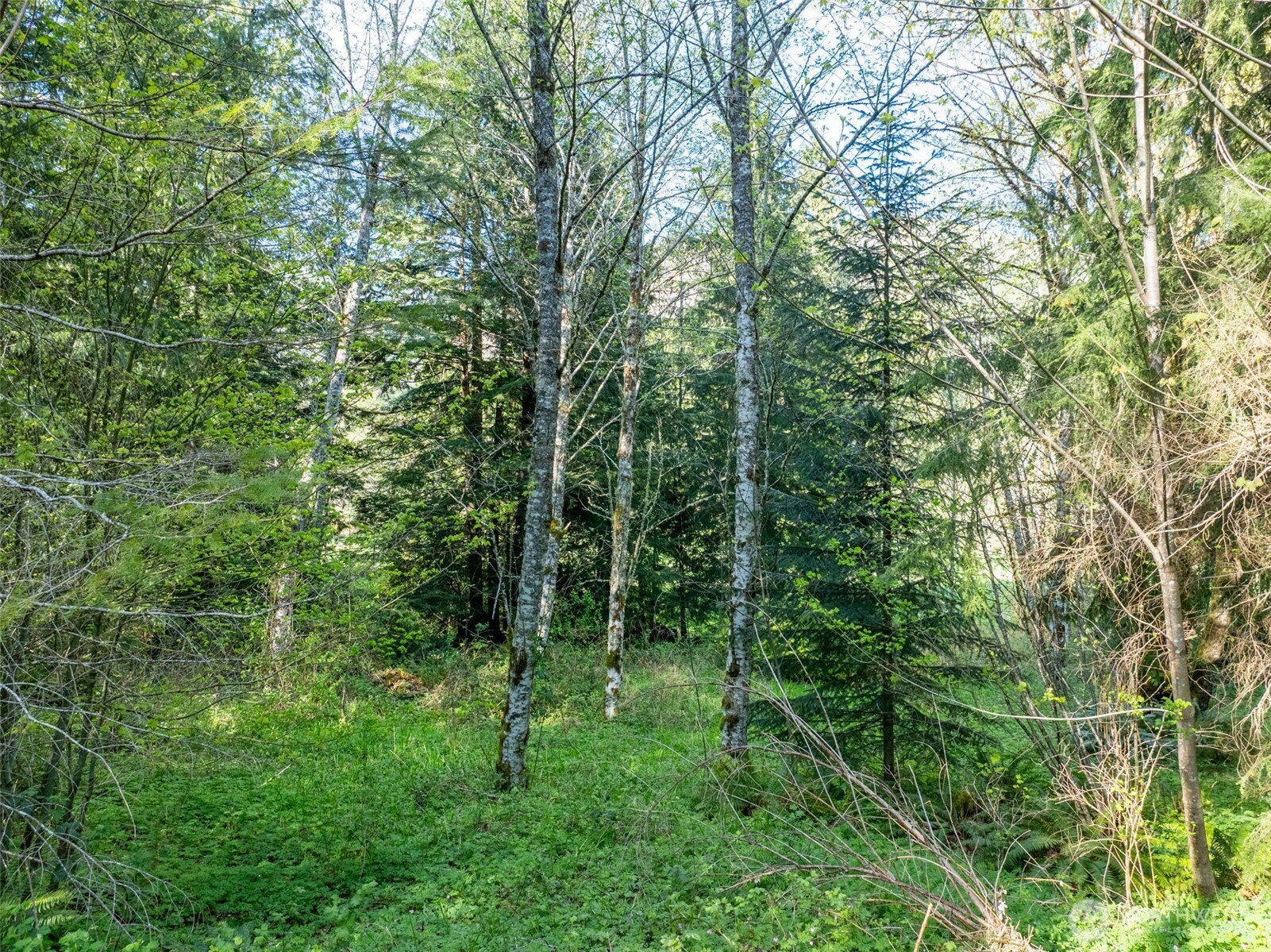 0 Davis Lake Road , Morton, WA 98356