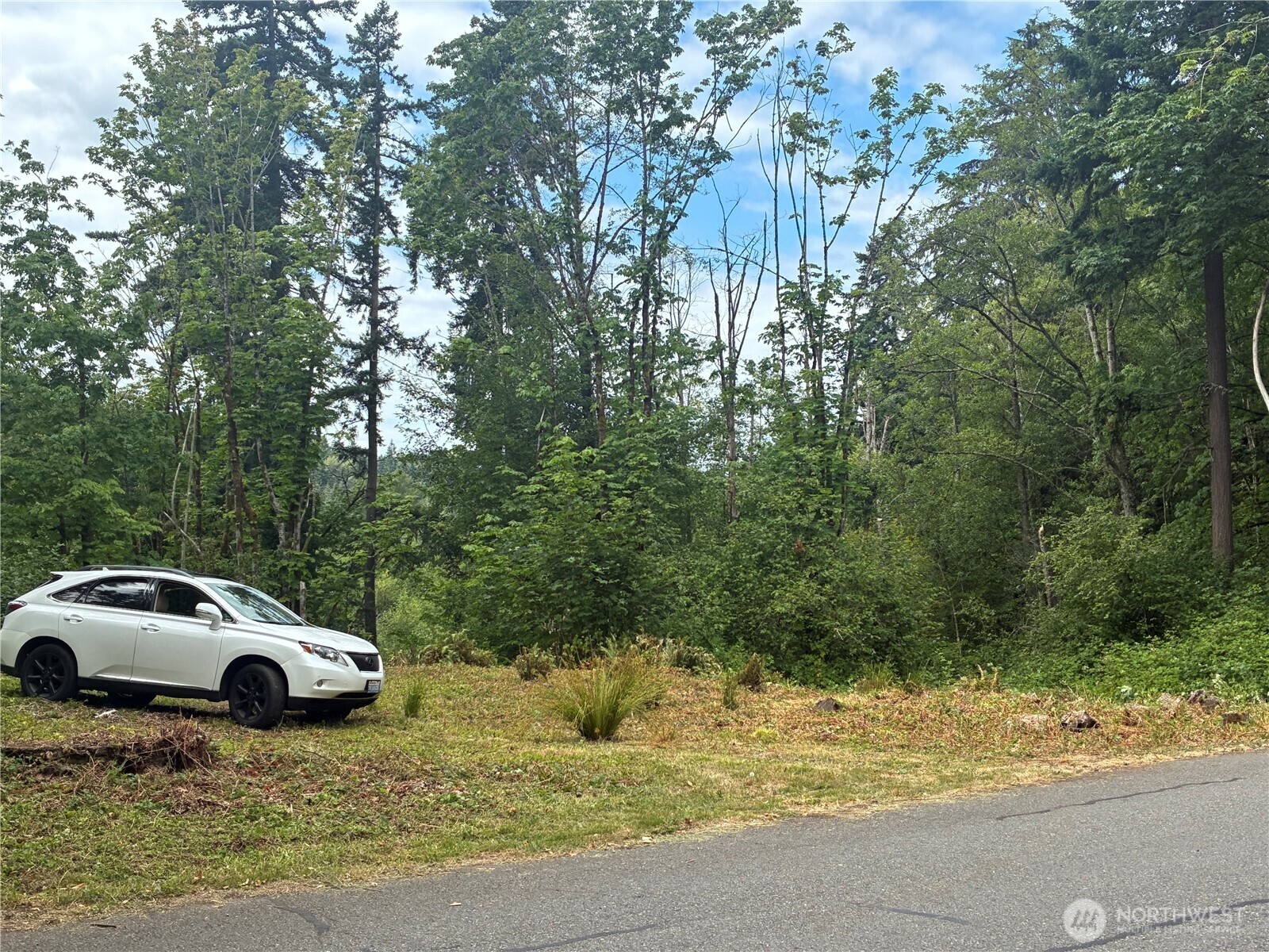 8 xxx 136th Avenue SE, Newcastle, WA 98059