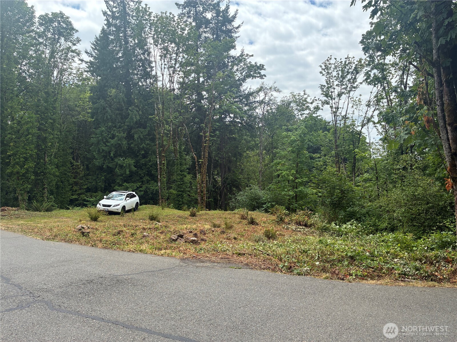 8 xxx 136th Avenue SE, Newcastle, WA 98059