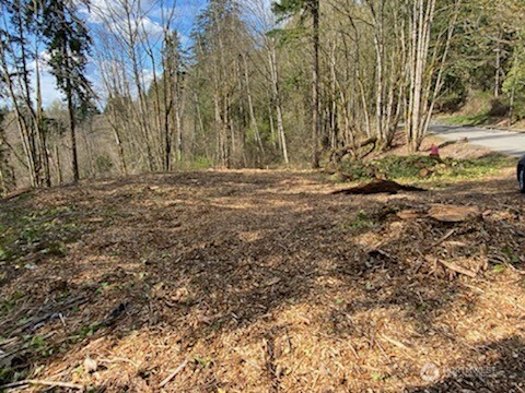 8 xxx 136th Avenue SE, Newcastle, WA 98059