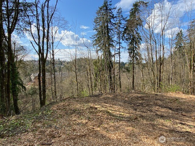 8 xxx 136th Avenue SE, Newcastle, WA 98059