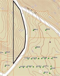 8 xxx 136th Avenue SE, Newcastle, WA 98059