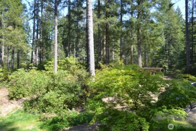 110 NE Collins Drive E, Tahuya, WA 98588 - Photo 3