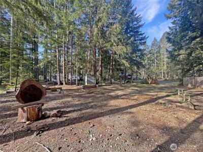 1220 N Cod Place , Hoodsport, WA 98548 - Photo 6