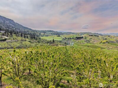 0 KINGS VIEW LN , Malaga, WA 98828 - Photo 15