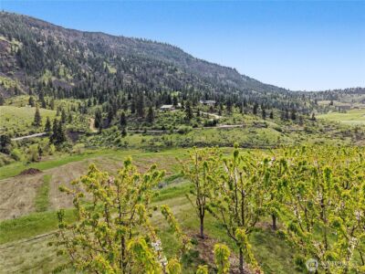 0 KINGS VIEW LN , Malaga, WA 98828 - Photo 16