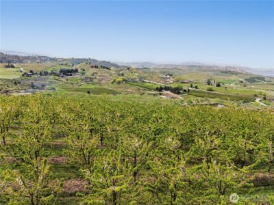 0 KINGS VIEW LN , Malaga, WA 98828 - Photo 21
