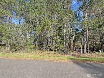 21 N Varden Way , Hoodsport, WA 98548 - Photo 2