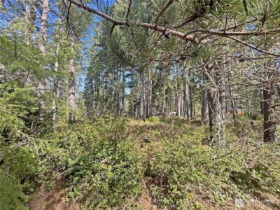 21 N Varden Way , Hoodsport, WA 98548 - Photo 3