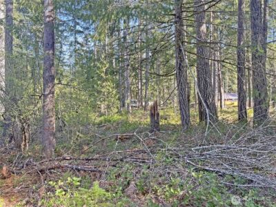 21 N Varden Way , Hoodsport, WA 98548 - Photo 4
