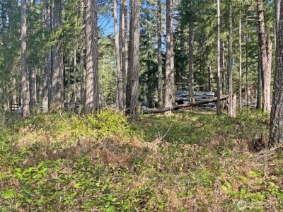 21 N Varden Way , Hoodsport, WA 98548 - Photo 5