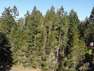 21 N Varden Way , Hoodsport, WA 98548 - Photo 7