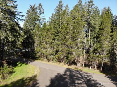 21 N Varden Way , Hoodsport, WA 98548 - Photo 8