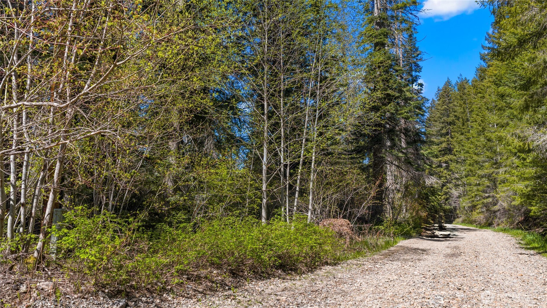 541 Heron Drive , Cle Elum, WA 98922
