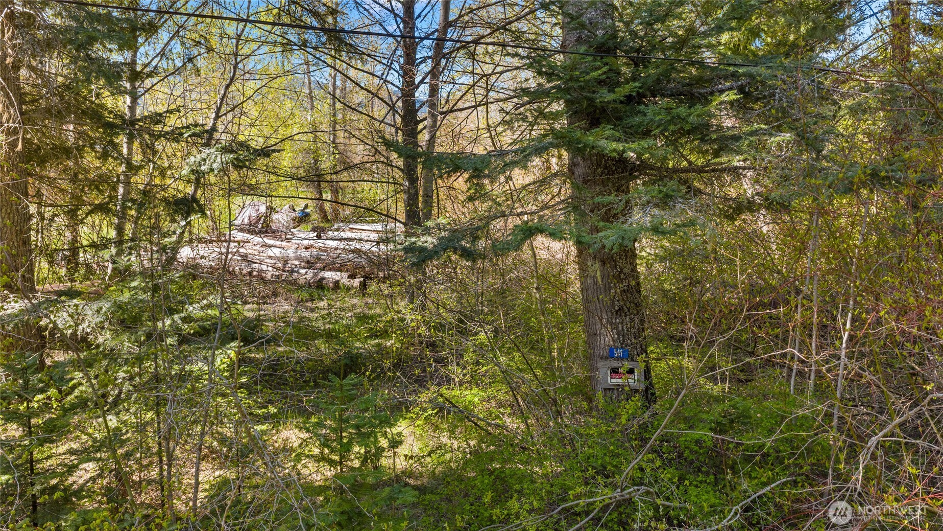 541 Heron Drive , Cle Elum, WA 98922