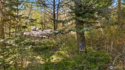 541 Heron Drive , Cle Elum, WA 98922 - Photo 25