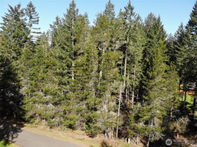 41 N Varden Way , Hoodsport, WA 98548 - Photo 2