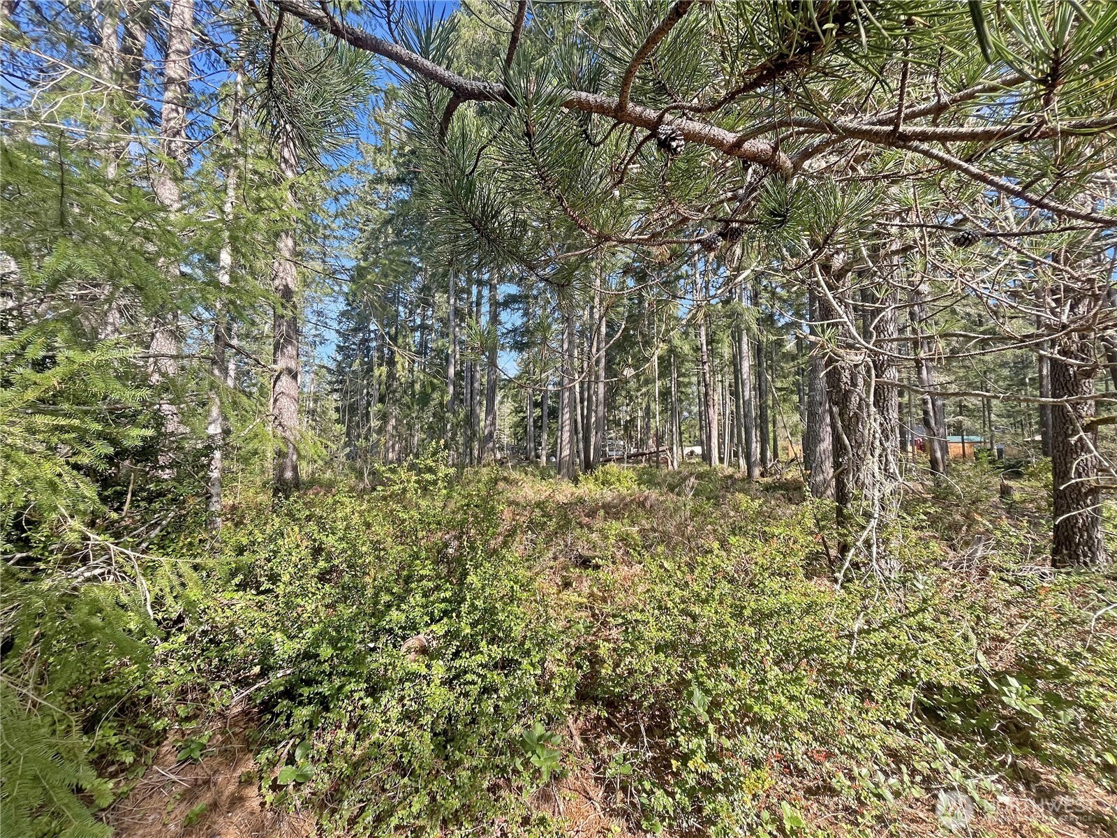 41 N Varden Way , Hoodsport, WA 98548