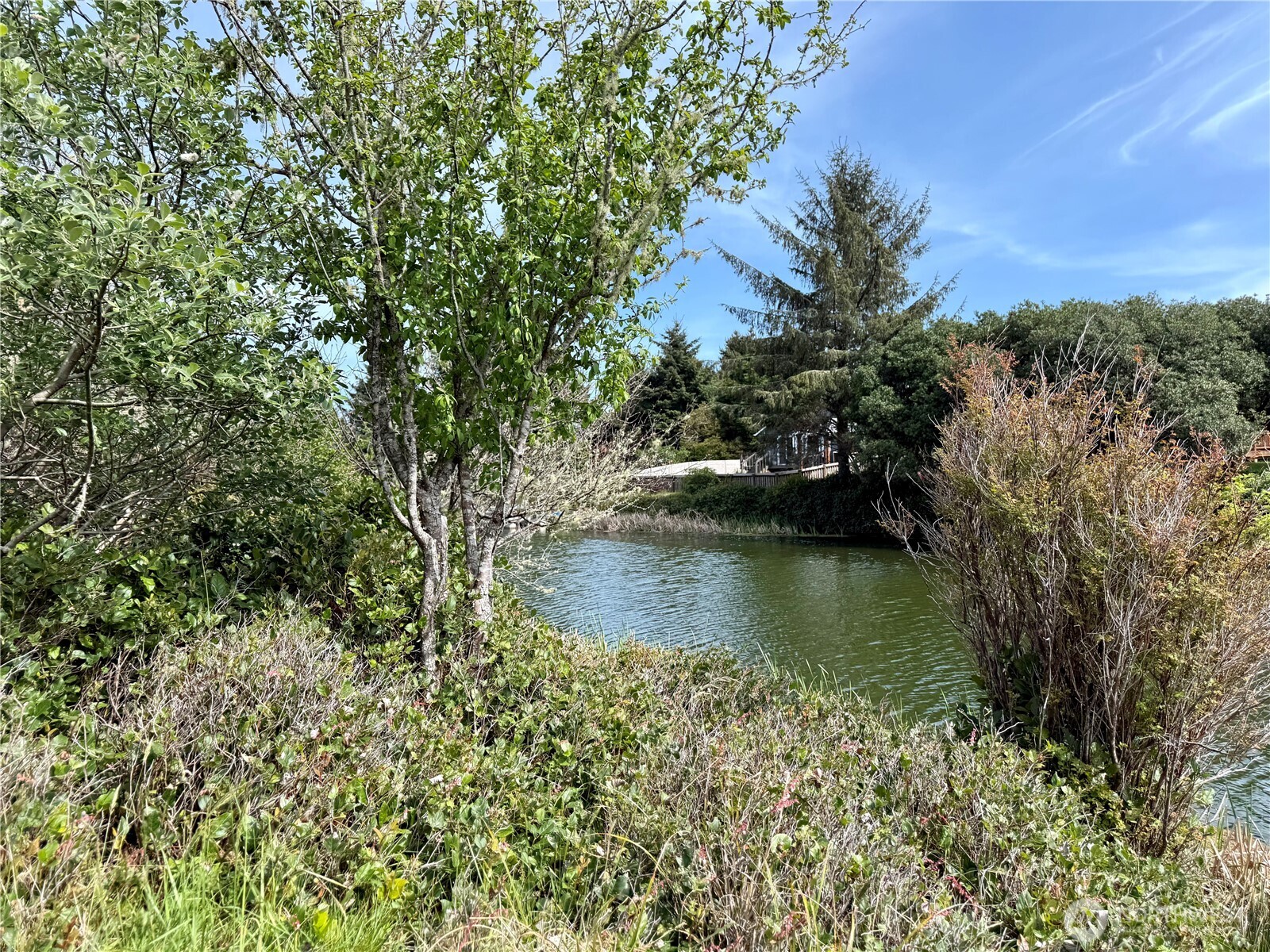 311 Cockle Street SW, Ocean Shores, WA 98569