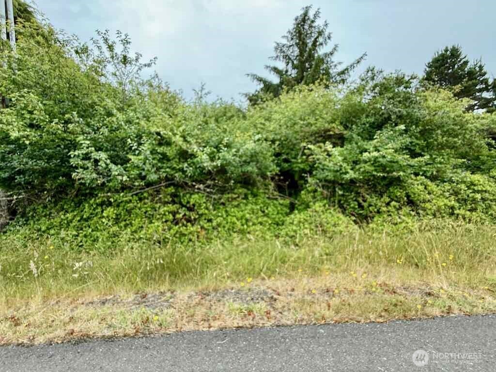 311 Cockle Street SW, Ocean Shores, WA 98569