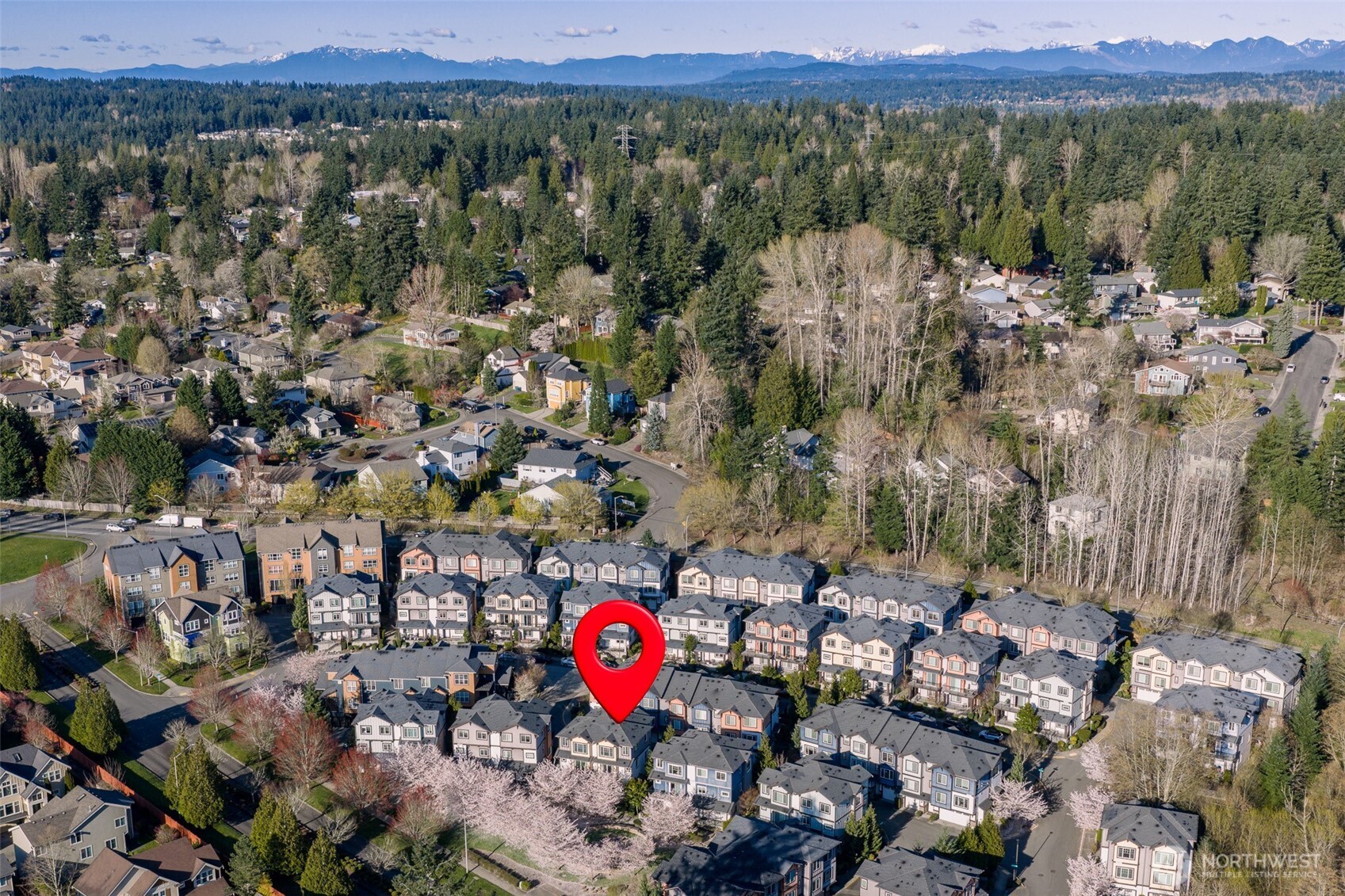 10357 156th Lane NE #101, Redmond, WA 98052