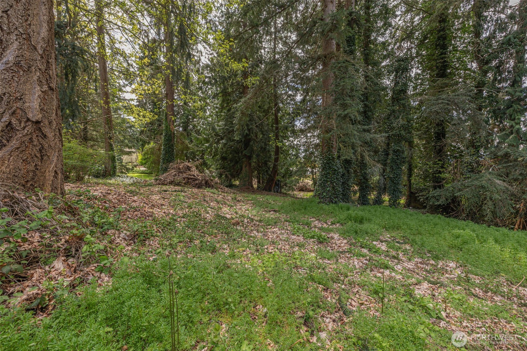 8957 188th Street SW, Edmonds, WA 98026